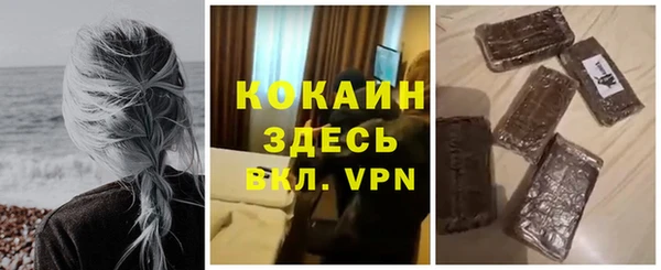 PSILOCYBIN Строитель