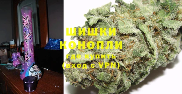 PSILOCYBIN Вязники